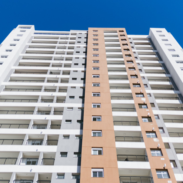 Site-Syrah-2025-SITE26