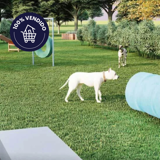 Site-caminho-do-mar-2025-SITE14